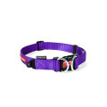 EZYDOG Double Up Collar Purple Color 雙環項圈 (紫色) Medium Size 